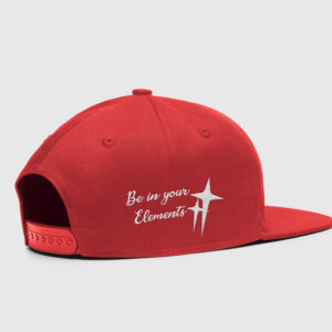 hemotions snapback cap purple (copy)