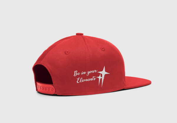 hemotions snapback cap purple (copy)