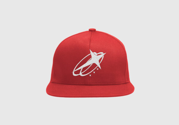 hemotions snapback cap purple (copy)